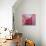 Pink Lotus-Sally Bennett Baxley-Stretched Canvas displayed on a wall