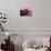 Pink Lotus-samarttiw-Photographic Print displayed on a wall