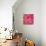 Pink Love-Nicholas Biscardi-Stretched Canvas displayed on a wall