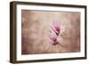 Pink Magnolia 3-Jai Johnson-Framed Giclee Print