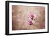 Pink Magnolia 3-Jai Johnson-Framed Giclee Print