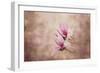 Pink Magnolia 3-Jai Johnson-Framed Giclee Print