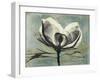 Pink Magnolia I-Albert Koetsier-Framed Art Print