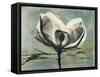 Pink Magnolia I-Albert Koetsier-Framed Stretched Canvas