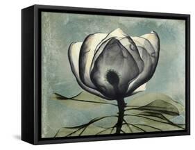 Pink Magnolia II-Albert Koetsier-Framed Stretched Canvas