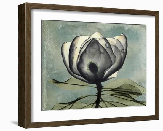 Pink Magnolia II-Albert Koetsier-Framed Art Print