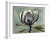 Pink Magnolia II-Albert Koetsier-Framed Art Print