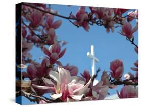 Pink Magnolia Tree and Church Steeple, Reading, Massachusetts, USA-Lisa S. Engelbrecht-Stretched Canvas