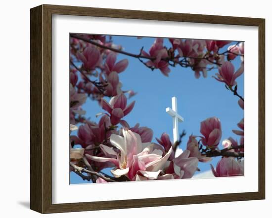 Pink Magnolia Tree and Church Steeple, Reading, Massachusetts, USA-Lisa S. Engelbrecht-Framed Photographic Print