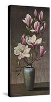 Pink Magnolia-Vladimir Tretchikoff-Stretched Canvas