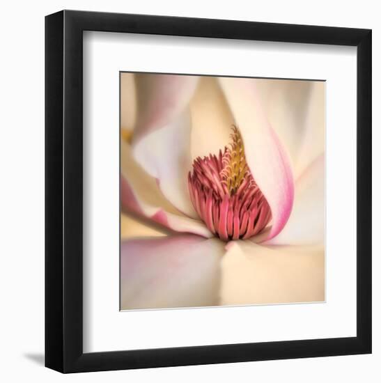 Pink Magnolia-Diane Poinski-Framed Giclee Print