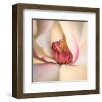 Pink Magnolia-Diane Poinski-Framed Giclee Print