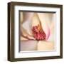 Pink Magnolia-Diane Poinski-Framed Giclee Print