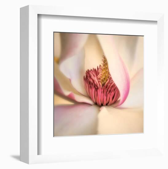 Pink Magnolia-Diane Poinski-Framed Giclee Print