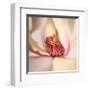 Pink Magnolia-Diane Poinski-Framed Giclee Print