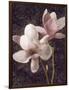 Pink Magnolias I-John Seba-Framed Art Print