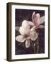 Pink Magnolias I-John Seba-Framed Art Print