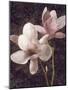 Pink Magnolias I-John Seba-Mounted Art Print