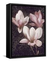 Pink Magnolias II-John Seba-Framed Stretched Canvas
