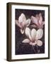 Pink Magnolias II-John Seba-Framed Art Print