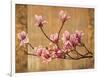 Pink Magnolias-Erin Lange-Framed Art Print