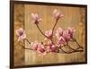 Pink Magnolias-Erin Lange-Framed Art Print