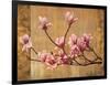 Pink Magnolias-Erin Lange-Framed Art Print