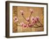 Pink Magnolias-Erin Lange-Framed Art Print