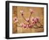 Pink Magnolias-Erin Lange-Framed Art Print