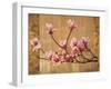 Pink Magnolias-Erin Lange-Framed Art Print