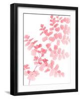 Pink Maidenhair-Lexie Greer-Framed Photographic Print