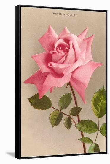 Pink Maman Cochet Rose-null-Framed Stretched Canvas