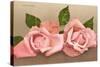 Pink Maman Cochet Roses-null-Stretched Canvas