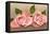 Pink Maman Cochet Roses-null-Framed Stretched Canvas