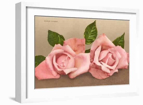 Pink Maman Cochet Roses-null-Framed Art Print