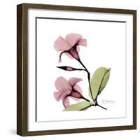 Pink Mandelila-Albert Koetsier-Framed Premium Giclee Print