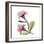 Pink Mandelila-Albert Koetsier-Framed Premium Giclee Print