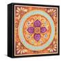 Pink Medallion II-Janice Gaynor-Framed Stretched Canvas