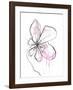 Pink Modern Botanical-Jan Weiss-Framed Art Print