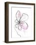 Pink Modern Botanical-Jan Weiss-Framed Art Print