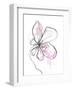 Pink Modern Botanical-Jan Weiss-Framed Art Print