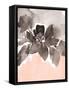 Pink Modern Fleur I-Lanie Loreth-Framed Stretched Canvas