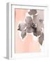 Pink Modern Fleur II-Lanie Loreth-Framed Art Print