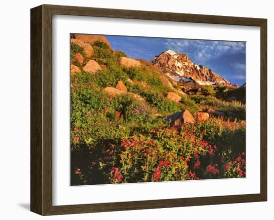 Pink Monkeyflowers below Mt. Hood-Steve Terrill-Framed Photographic Print