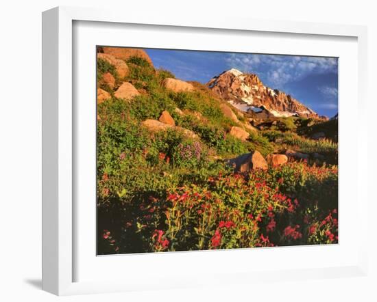 Pink Monkeyflowers below Mt. Hood-Steve Terrill-Framed Photographic Print