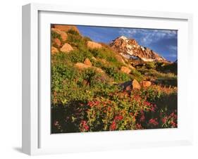 Pink Monkeyflowers below Mt. Hood-Steve Terrill-Framed Photographic Print