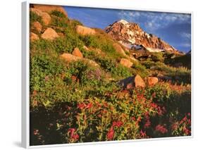 Pink Monkeyflowers below Mt. Hood-Steve Terrill-Framed Photographic Print