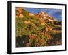 Pink Monkeyflowers below Mt. Hood-Steve Terrill-Framed Photographic Print