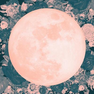 https://imgc.allpostersimages.com/img/posters/pink-moon_u-L-Q1HSQ2R0.jpg?artPerspective=n