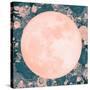 Pink Moon-null-Stretched Canvas